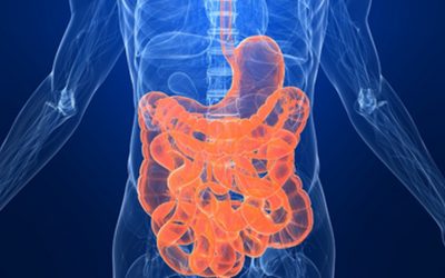 Est-ce possible de prévenir la maladie de Crohn ?